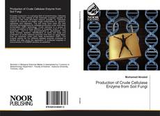 Copertina di Production of Crude Cellulase Enzyme from Soil Fungi