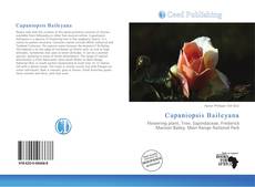 Capa do livro de Cupaniopsis Baileyana 