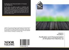 Copertina di Purification and Characterization of Amylase from Bacillus sp