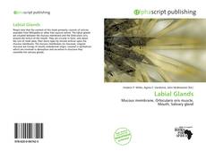 Borítókép a  Labial Glands - hoz