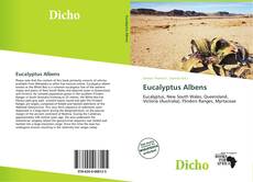 Copertina di Eucalyptus Albens