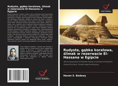 Rudysta, gąbka koralowa, ślimak w rezerwacie El-Hassana w Egipcie的封面