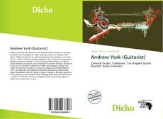 Copertina di Andrew York (Guitarist)