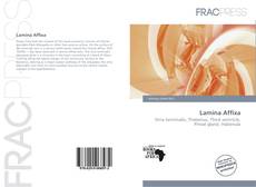 Lamina Affixa的封面