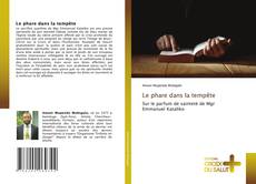 Le phare dans la tempête的封面