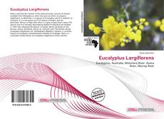Copertina di Eucalyptus Largiflorens