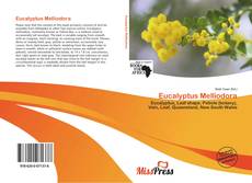 Bookcover of Eucalyptus Melliodora