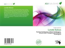 Copertina di Lunate Sulcus