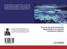 Causes of environmental degradation in coastal southwest Nigeria kitap kapağı