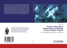 Buchcover von Factors that affect productivity at Medupi Power Station Project