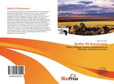Bookcover of Battle Of Asseiceira
