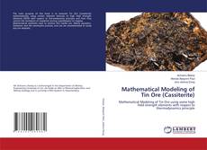 Copertina di Mathematical Modeling of Tin Ore (Cassiterite)