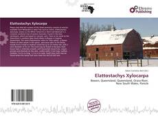 Borítókép a  Elattostachys Xylocarpa - hoz