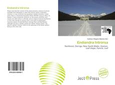 Couverture de Endiandra Introrsa