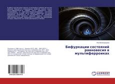 Copertina di Бифуркации состояний равновесия в мультиферроиках