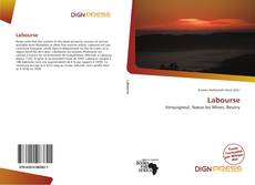 Bookcover of Labourse
