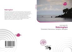 Nabringhen的封面