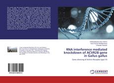 Copertina di RNA interference mediated knockdown of ACVR2B gene in Gallus gallus