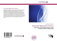 Bookcover of External Spermatic Fascia