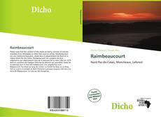 Buchcover von Raimbeaucourt