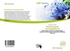 Helichrysum Leucopsideum的封面