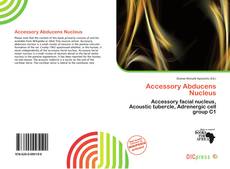 Copertina di Accessory Abducens Nucleus