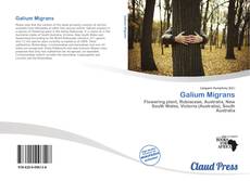 Borítókép a  Galium Migrans - hoz