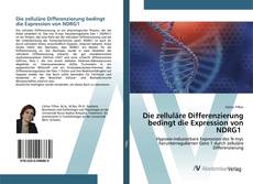 Bookcover of Die zelluläre Differenzierung bedingt die Expression von NDRG1