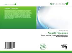 Buchcover von Arcuate Fasciculus