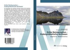 Bookcover of Echte Reinkarnation - Endosymbiotische Archaeen