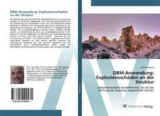 Bookcover of DBM-Anwendung: Explosionsschäden an der Struktur