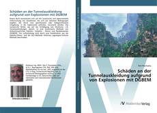 Bookcover of Schäden an der Tunnelauskleidung aufgrund von Explosionen mit DGBEM