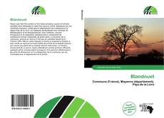 Capa do livro de Blandouet 