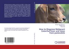 Portada del libro de How to Diagnose Malignant Catarrhal Fever and views from pastoralists