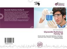 Buchcover von Glycoside Hydrolase Family 20