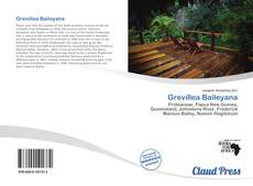 Copertina di Grevillea Baileyana