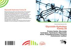 Bookcover of Glycoside Hydrolase Family 28