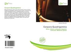 Portada del libro de Corpora Quadrigemina