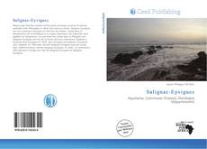 Buchcover von Salignac-Eyvigues