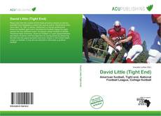 Buchcover von David Little (Tight End)