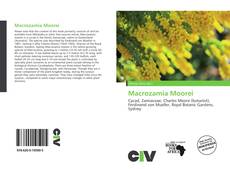 Borítókép a  Macrozamia Moorei - hoz