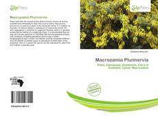 Macrozamia Plurinervia kitap kapağı