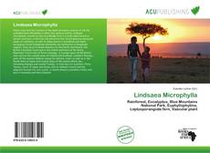 Buchcover von Lindsaea Microphylla