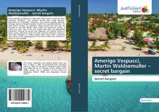 Обложка Amerigo Vespucci, Martin Waldsemuller – secret bargain