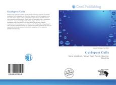 Portada del libro de Guidepost Cells