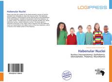 Обложка Habenular Nuclei