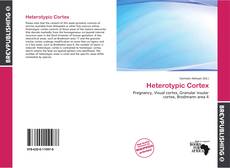 Heterotypic Cortex kitap kapağı