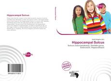 Couverture de Hippocampal Sulcus