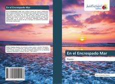 Buchcover von En el Encrespado Mar