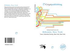 Bookcover of Hillsdale, New York